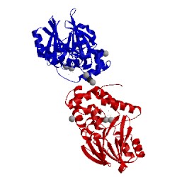 Image of CATH 1qh3