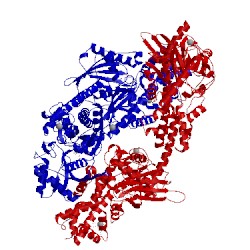 Image of CATH 1qha