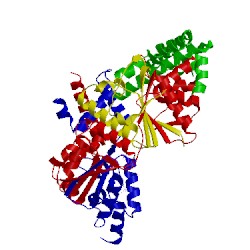 Image of CATH 1qhh