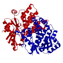 Image of CATH 1qhi