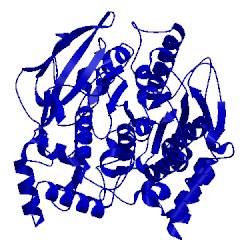 Image of CATH 1qih