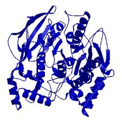 Image of CATH 1qii