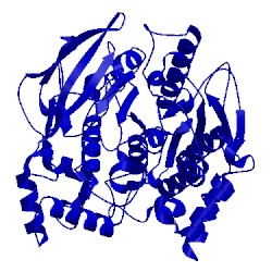 Image of CATH 1qim