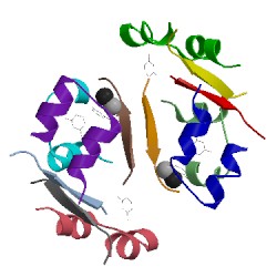 Image of CATH 1qiz