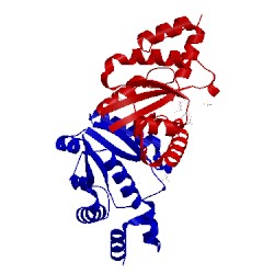 Image of CATH 1qjc