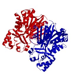 Image of CATH 1qlv