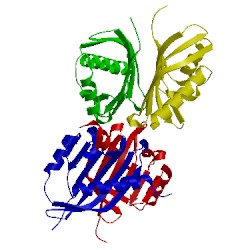 Image of CATH 1qma