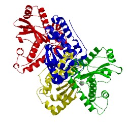 Image of CATH 1qnn