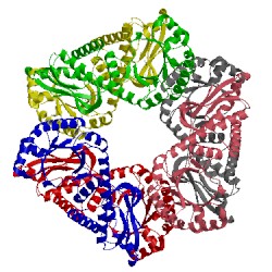 Image of CATH 1qpn