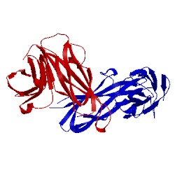 Image of CATH 1qpp