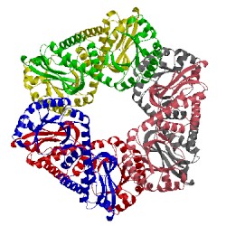 Image of CATH 1qpq