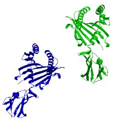 Image of CATH 1qr1