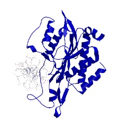 Image of CATH 1qrh