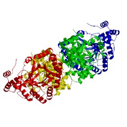 Image of CATH 1qrq