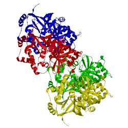 Image of CATH 1qs1