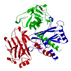 Image of CATH 1qsc