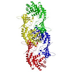 Image of CATH 1qu4