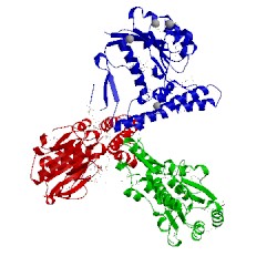 Image of CATH 1qv9