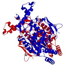 Image of CATH 1qw4