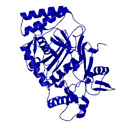 Image of CATH 1qw6