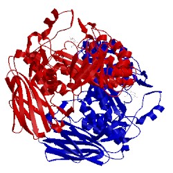 Image of CATH 1qw9
