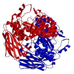 Image of CATH 1qw9