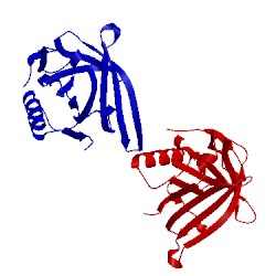 Image of CATH 1qwd