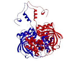 Image of CATH 1qwm