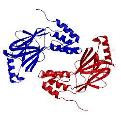 Image of CATH 1qwt