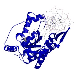 Image of CATH 1qx0