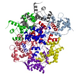 Image of CATH 1qx5