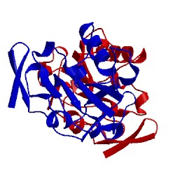 Image of CATH 1qxh