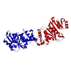 Image of CATH 1qyr