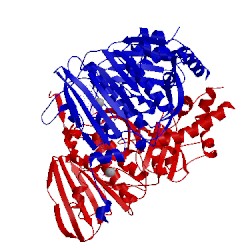 Image of CATH 1qzr