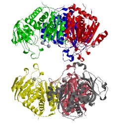 Image of CATH 1r0b