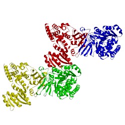 Image of CATH 1r0k