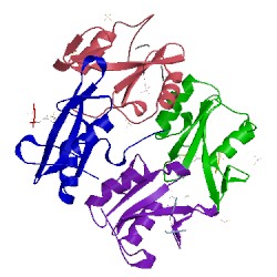 Image of CATH 1r1s