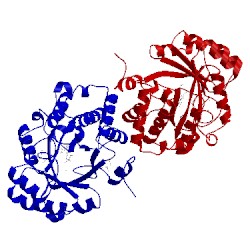 Image of CATH 1r30