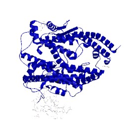 Image of CATH 1r42