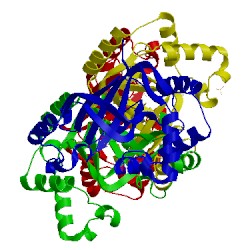 Image of CATH 1r45