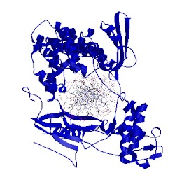 Image of CATH 1r49