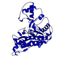 Image of CATH 1r5g