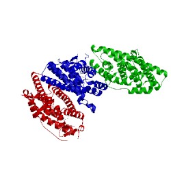 Image of CATH 1r5k