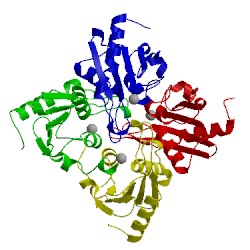 Image of CATH 1r5t