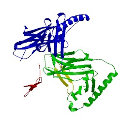 Image of CATH 1r5v