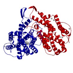 Image of CATH 1r65