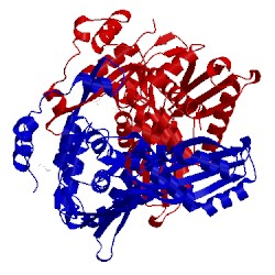 Image of CATH 1r7i