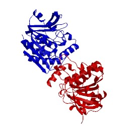 Image of CATH 1r88