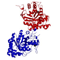 Image of CATH 1r8l