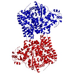 Image of CATH 1r8w